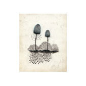 roots_13_170